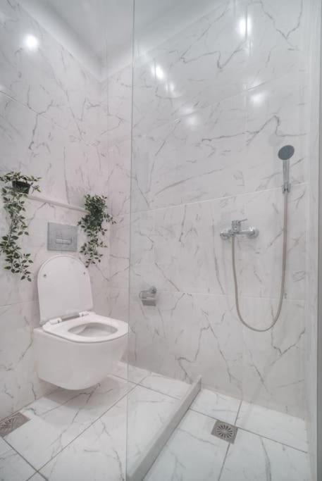 Εστία 10 Λεπτά Από Την Ακρόπολη Apartment เอเธนส์ ภายนอก รูปภาพ
